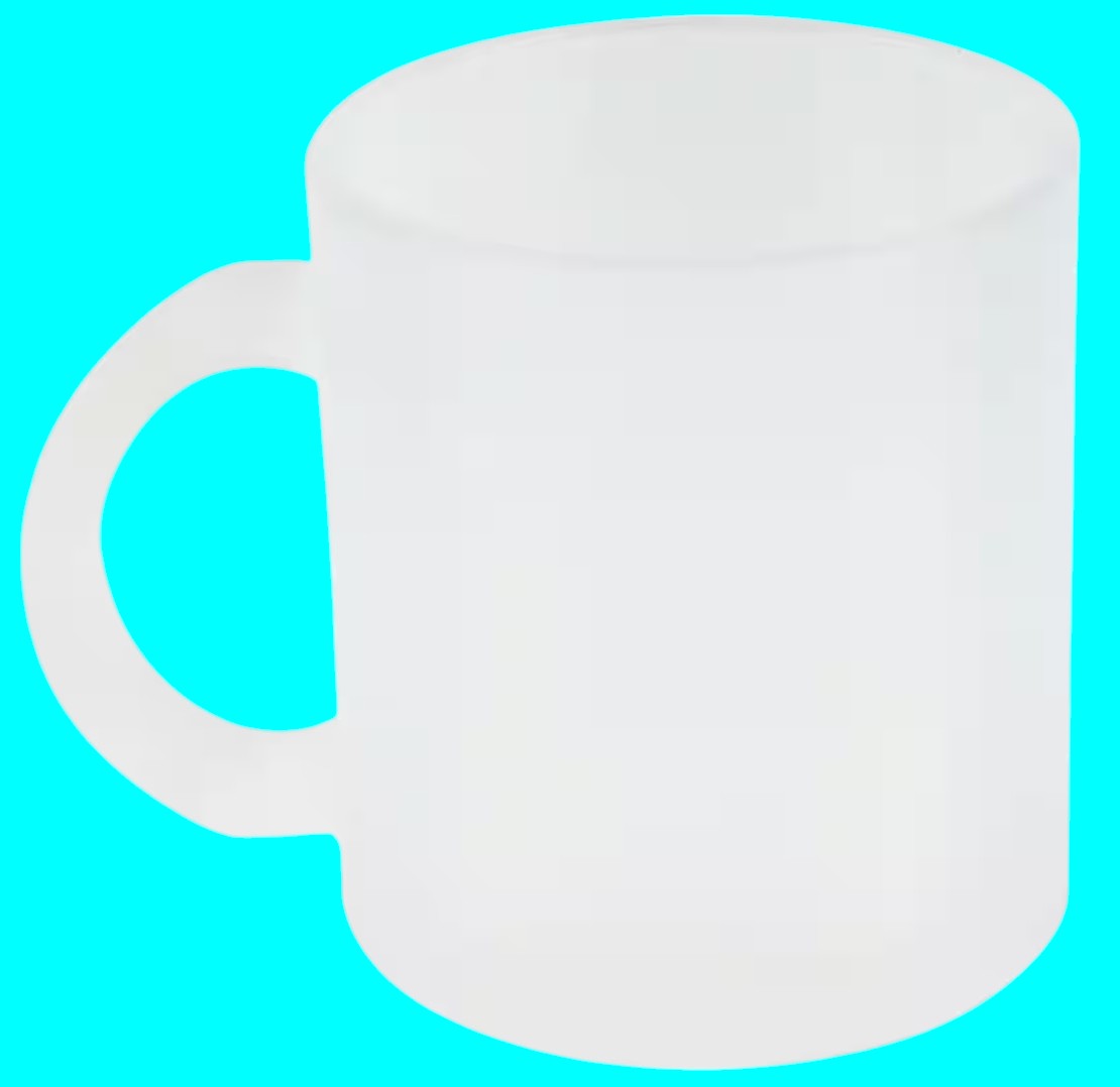 Custom Order Frosted Mug