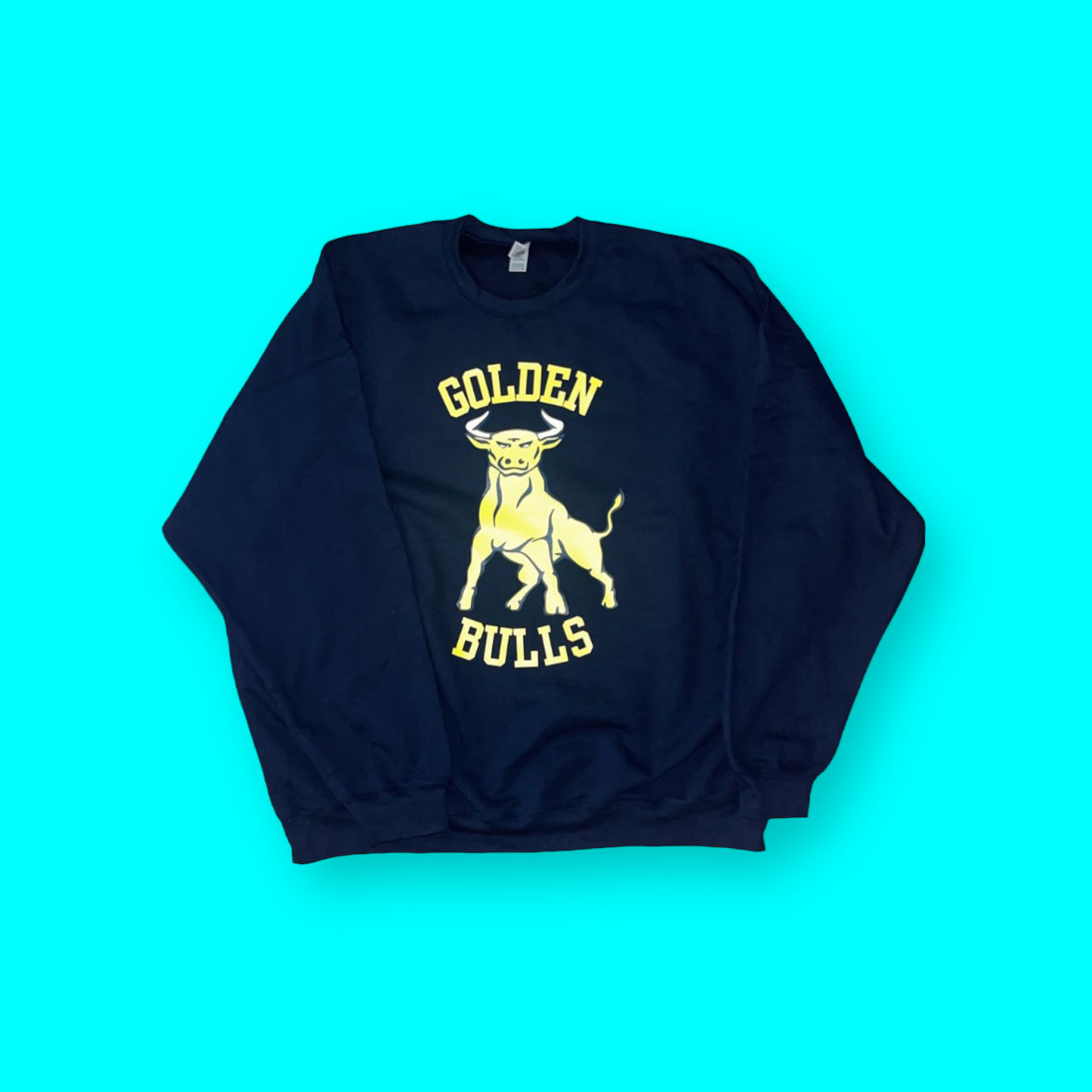 Custom Order Sweatshirt | 3+ Colors